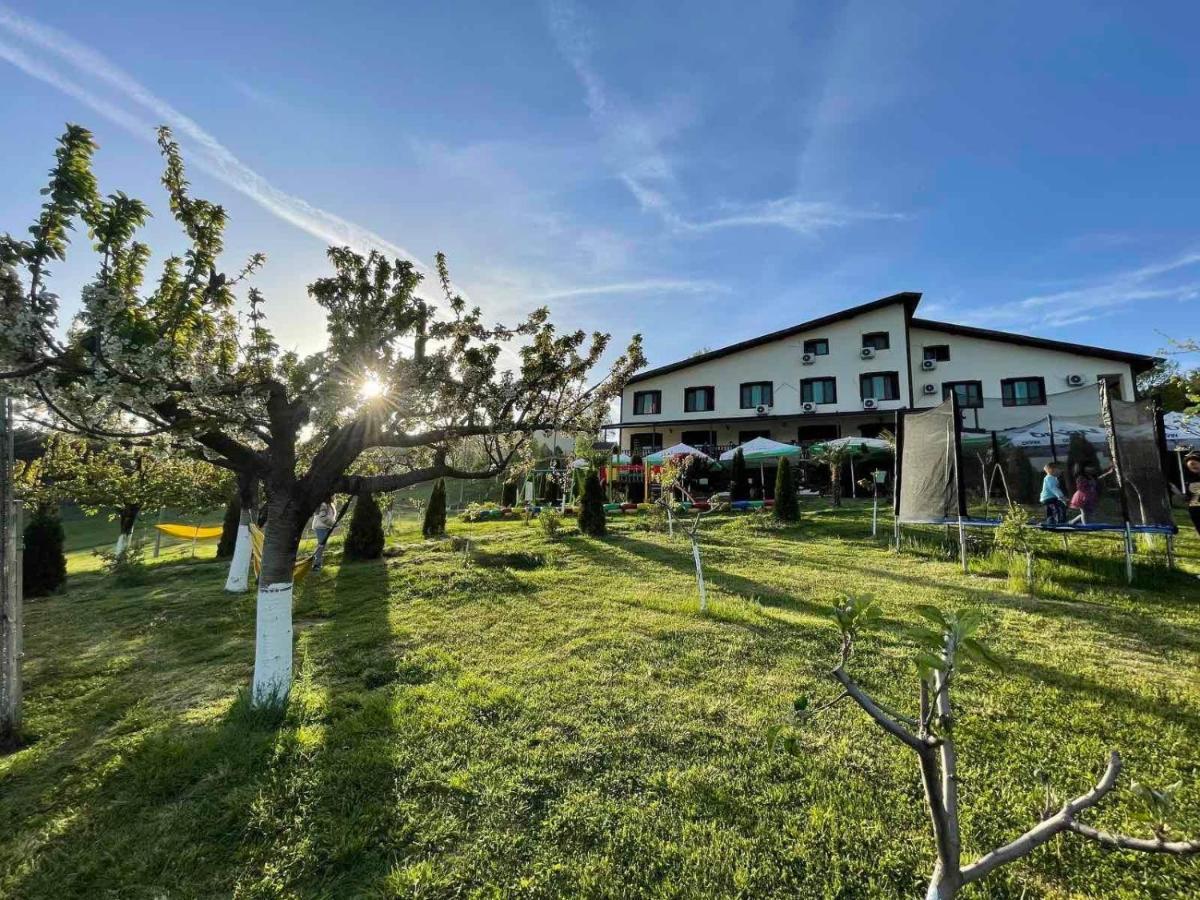 Family Hotel Borovitsa Pŭdartsi Exterior photo